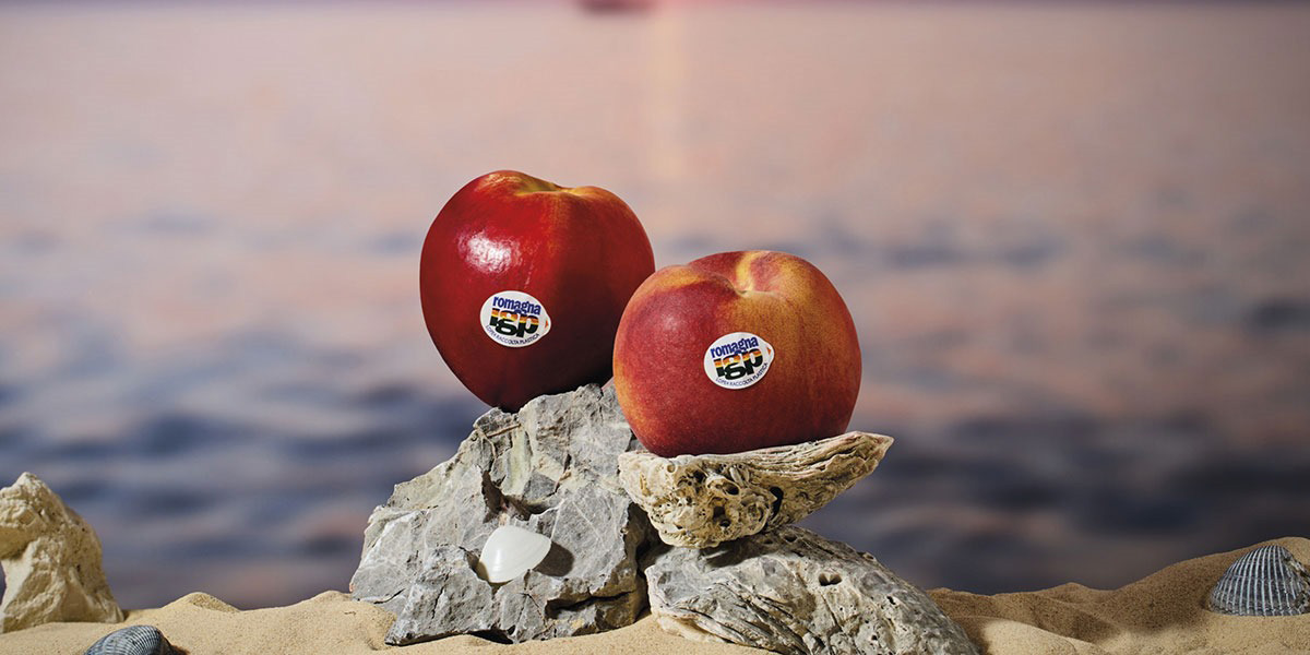 Pesche e nettarine di Romagna IGP: si chiude una campagna appagante